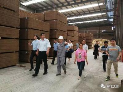 環(huán)保整改問題“不反彈”不怕“回頭看”,郝興國說,石碑坪鎮(zhèn)工業(yè)園區(qū)要這樣做!